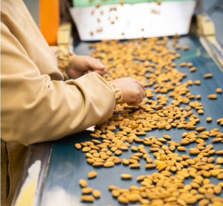 Almond quality inspections